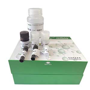 ATP含量測試盒/分光光度法主圖